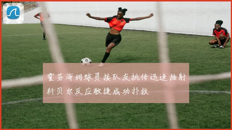 霍芬海姆球员接队友挑传迅速抽射科贝尔反应敏捷成功扑救