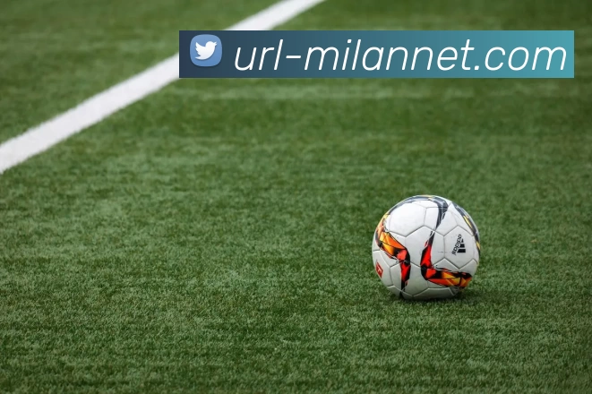 米兰体育APP 封面图